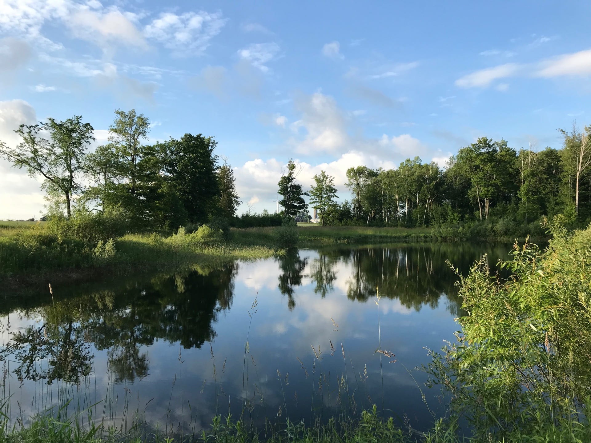 A deceptively beautiful pond in the midst of a soybean field